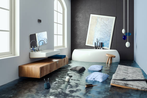 Best Professional water damage repair  in Orono, MN