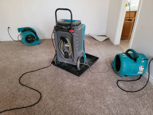 Best Mold removal after water damage  in Orono, MN