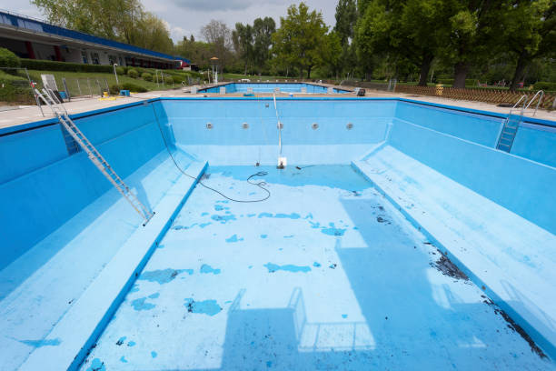Best Water damage mitigation services  in Orono, MN