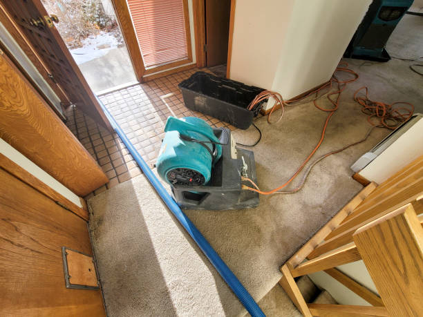Best Water damage cleanup near me  in Orono, MN