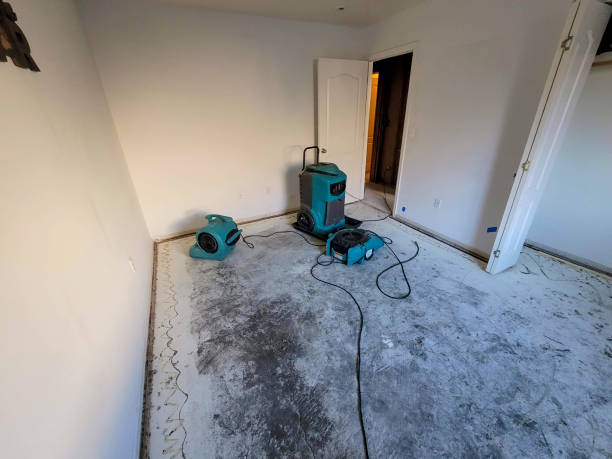 Best 24/7 water damage repair  in Orono, MN
