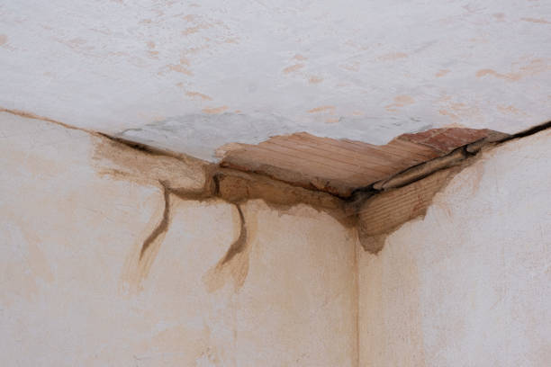 Best Commercial water damage restoration  in Orono, MN