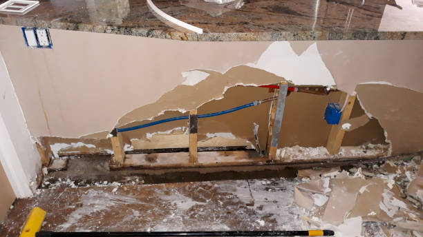 Best 24-hour water damage restoration  in Orono, MN