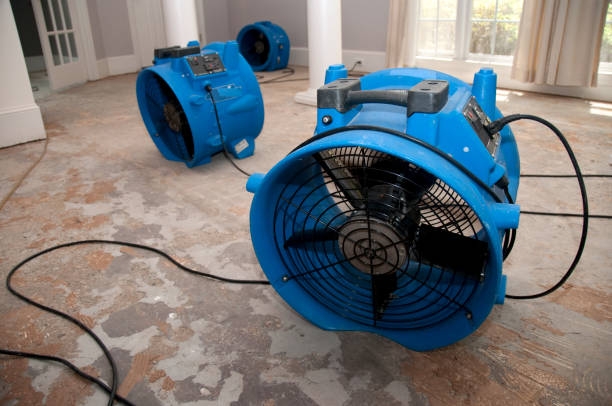 Best Flood damage cleanup  in Orono, MN