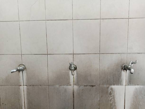 Best Water damage restoration near me  in Orono, MN