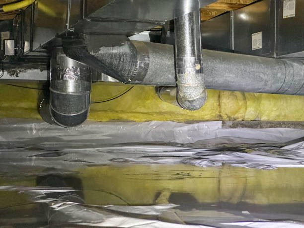 Best Local water damage restoration  in Orono, MN
