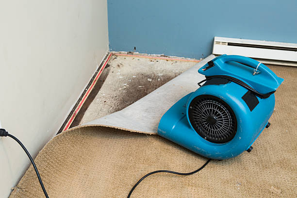 Best Fire Damage Restoration  in Orono, MN