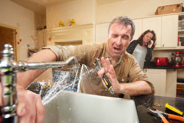 Best Water damage cleanup near me  in Orono, MN